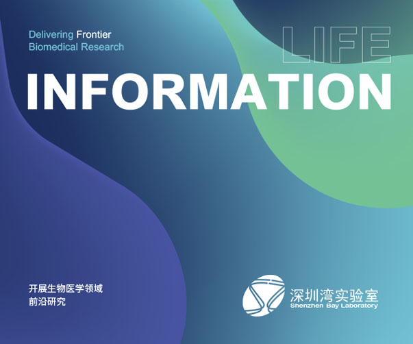 上海餐飲品牌如何通過策劃與設計吸引客戶注意力